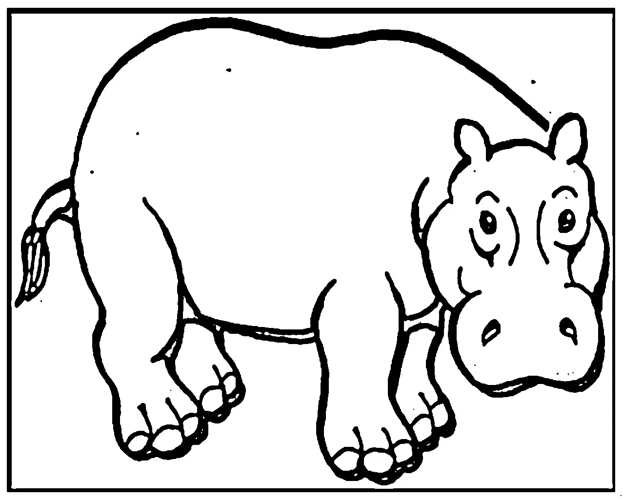 kuda nil Black and white pictures coloring book 026